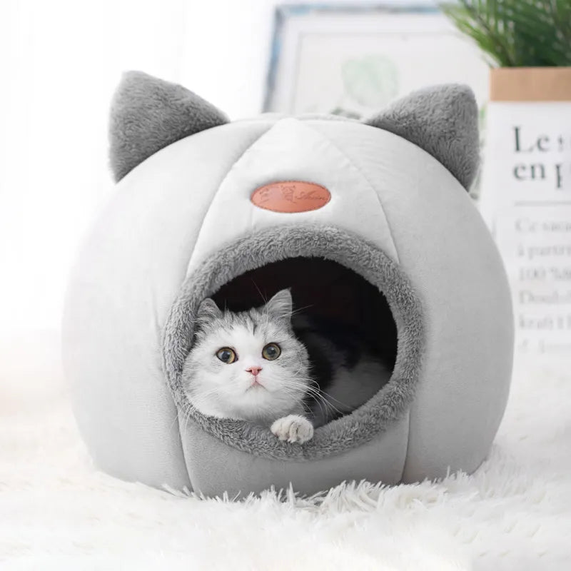 Toy 2024 cat bed