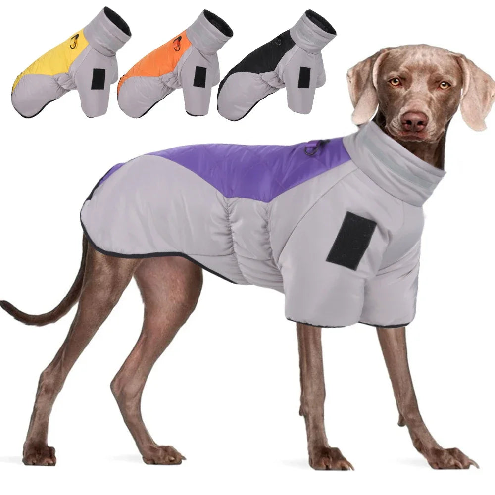 Reflective Waterproof Winter Coat for Big Dogs - Dog Apparel - Lines & Nines