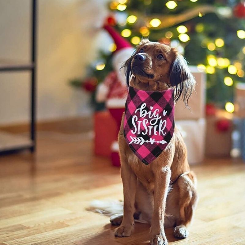 Gender Reveal Dog Bandana Clothes for Pet Lines Nines