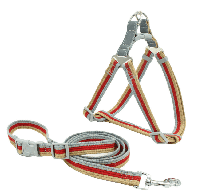 Retro stripe matching dog harness and leash