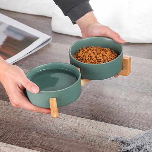 https://linesandnines.com/cdn/shop/products/PetBowlDouble-GreenwithHolderwithFoodWaterHuman_small_cad2af59-802a-45c0-b79b-d20103b7513d_1200x.jpg?v=1639617583