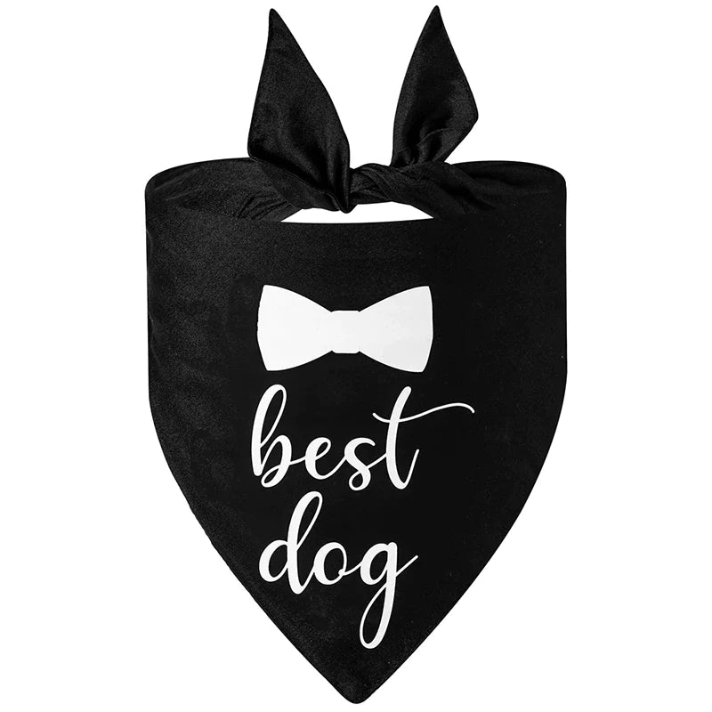 Best dog bandanas hotsell wedding