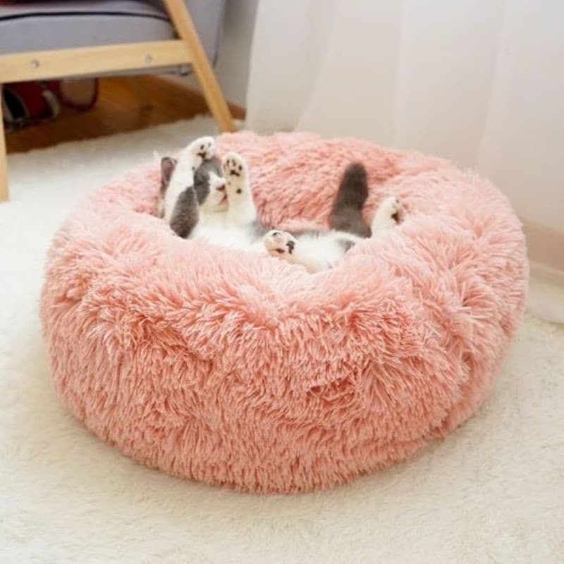 Calming bed hotsell for pets