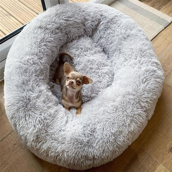 Classy Bee Designer Bed For Dogs