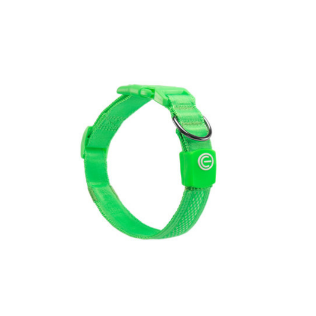 LED Dog Collar for safety, rechargeable, green.