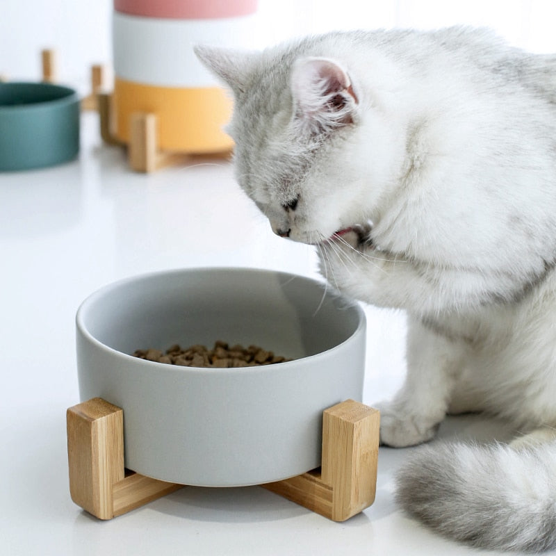 Nordic Flat Elevated cat Bowl , elevated dog bowl , Feeder , Dog